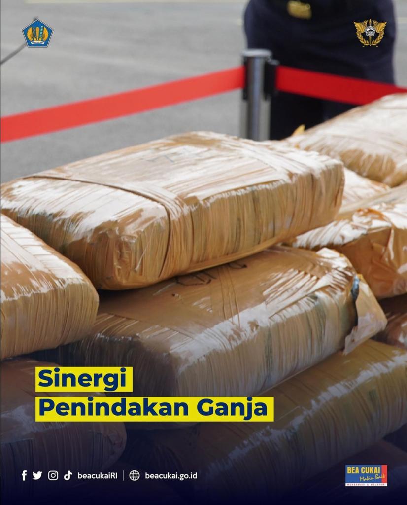 Sinergi Penindakan Ganja