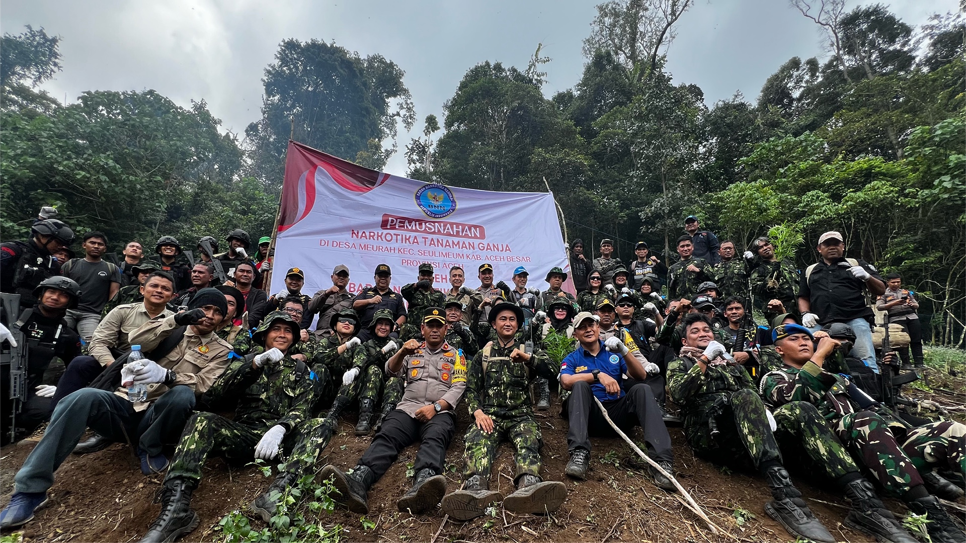 Pemusnahan 7 Ton Ganja di Gunung Seulawah Agam