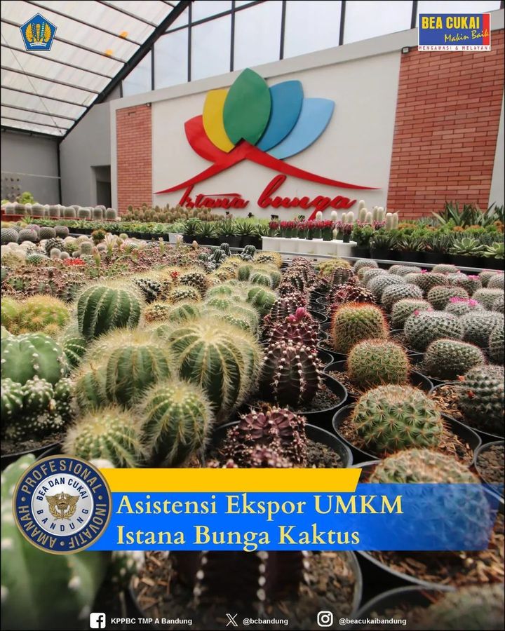 Bea Cukai Bandung Asistensi Ekspor UMKM Istana Bunga Kaktus 