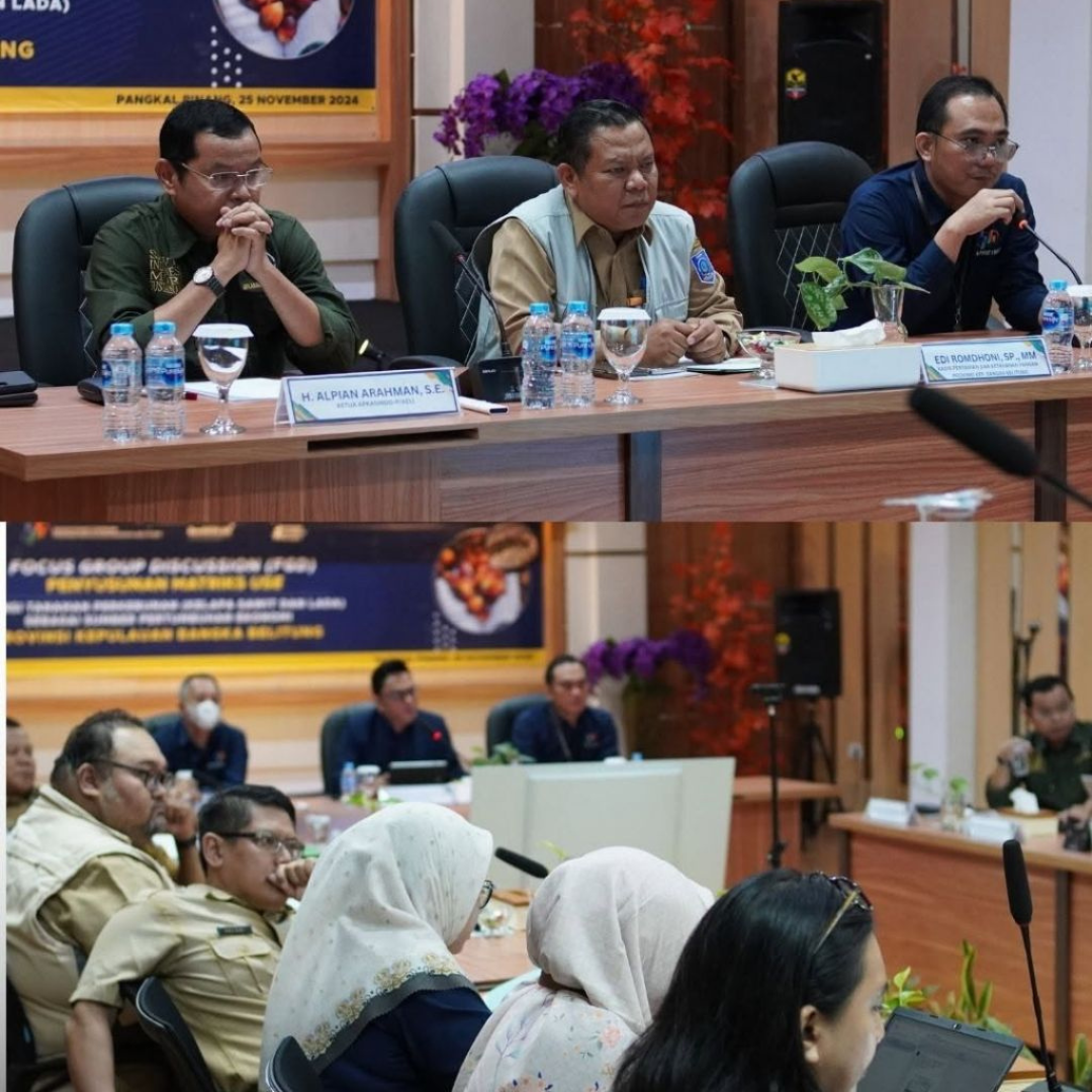 Bea Cukai Pangkalpinang hadiri FGD Penyusunan Matriks Use Terkait Potensi Lada dan Kelapa Sawit di Provinsi Kepulauan Bangka Belitung