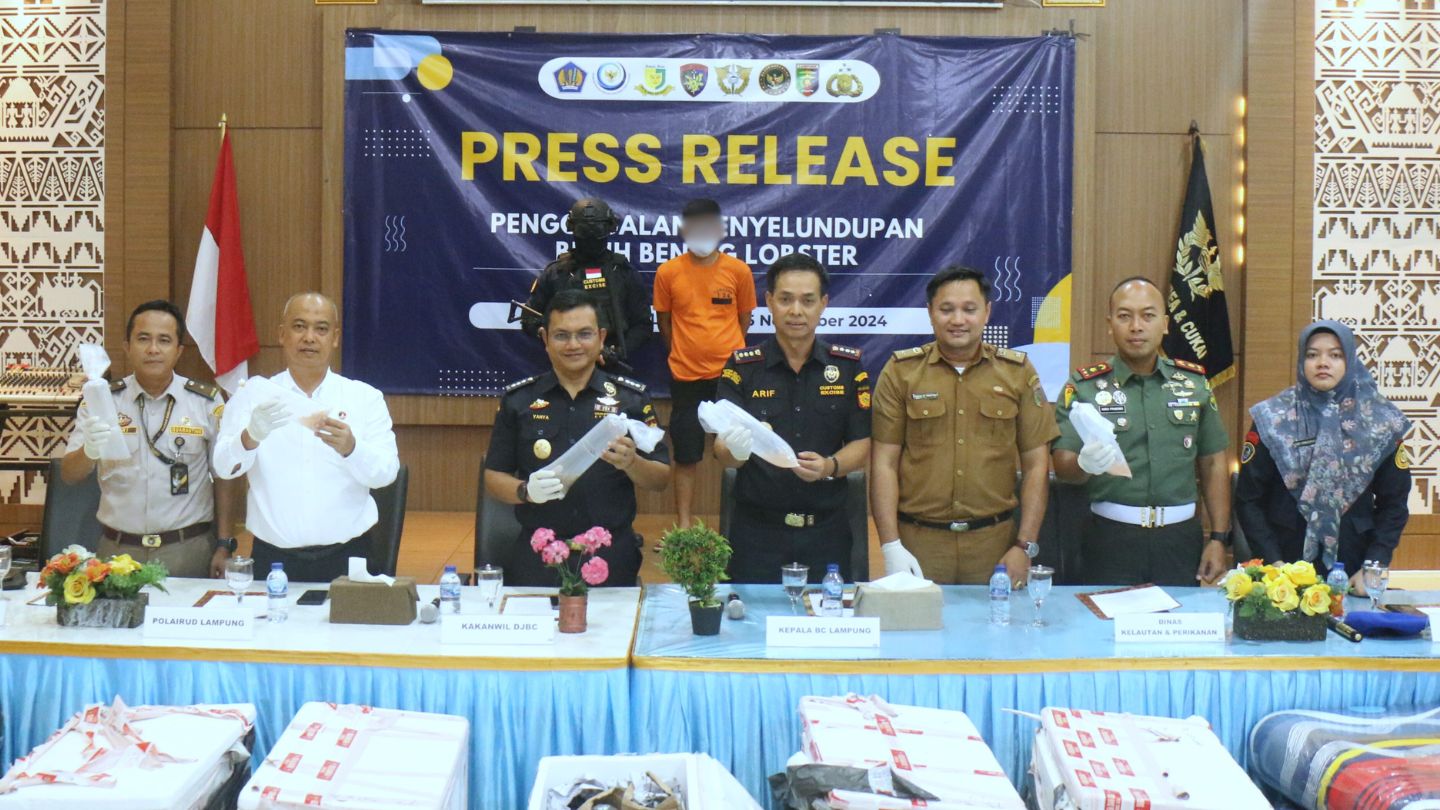 Bea Cukai Lampung Berhasil Menggagalkan Pengiriman 60.833 Ekor Benih Bening Lobster Yang Diduga Ilegal Senilai Rp 9,1 M