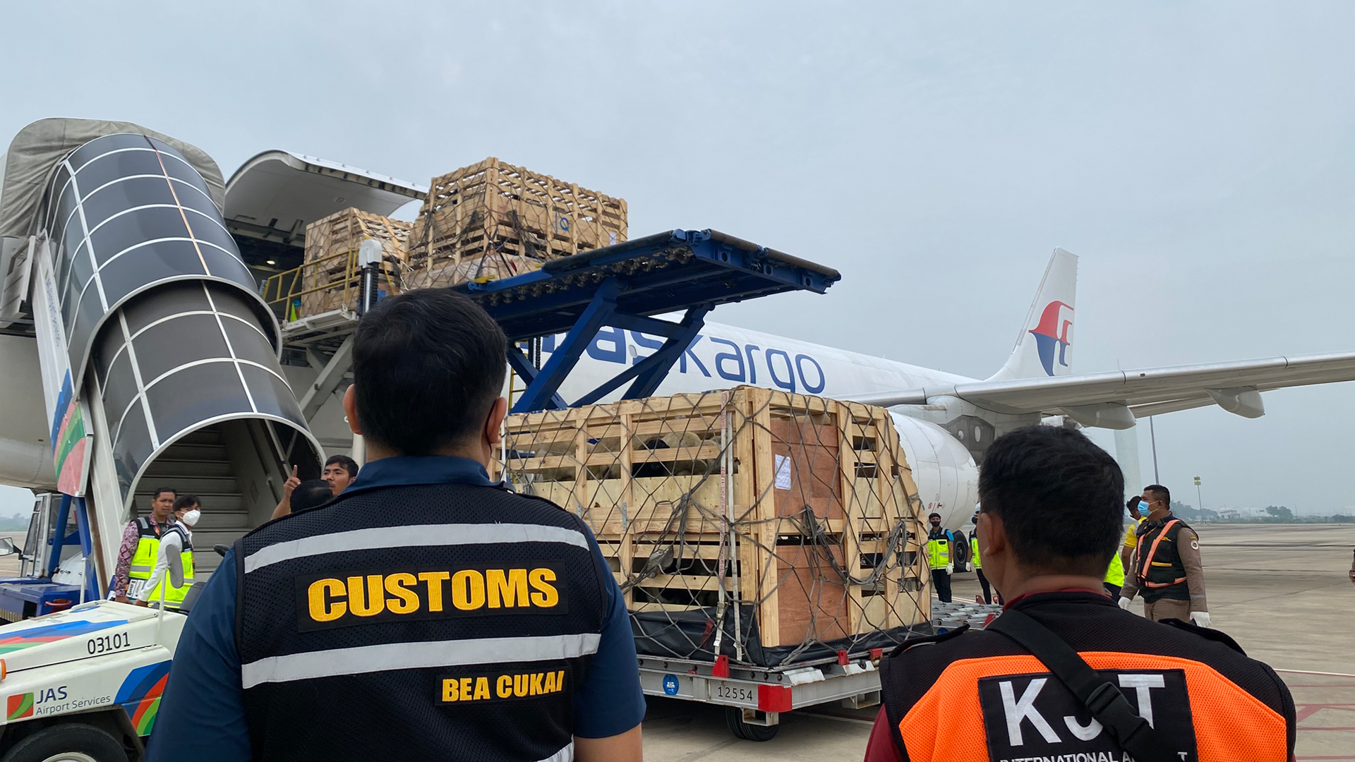 834 Ekor Domba Tiba di Bandara Kertajati Dukung Ketahanan Pangan Nasional 