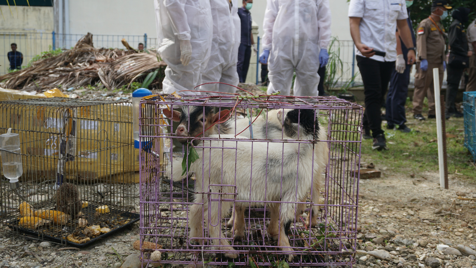 Bea Cukai Langsa Musnahkan Barang Ilegal Sebagai Wujud Program Astacita Presiden