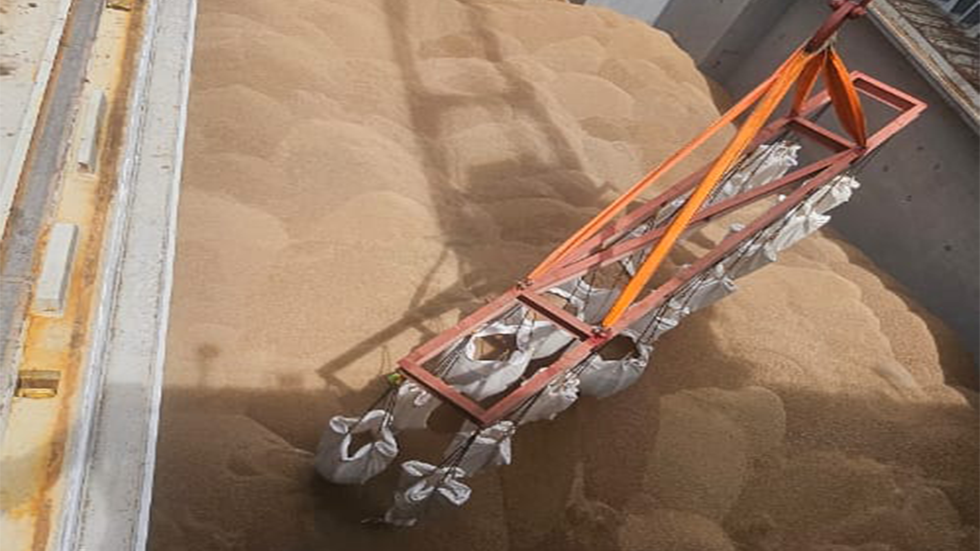 Dari Kepulauan Sula ke Jepang: Bea Cukai Ternate Kawal Ekspor Wood Pellet Bersertifikasi