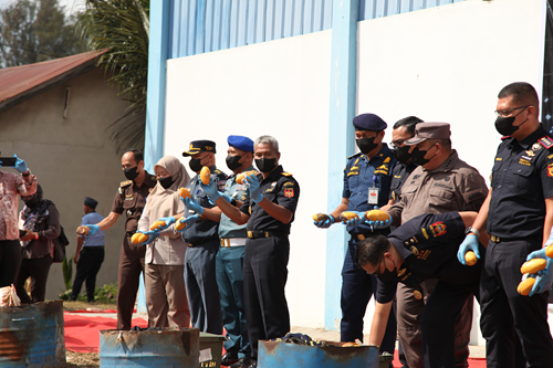 PERKUAT FUNGSI PENGAWASAN, BEA CUKAI MUSNAHKAN MANGGA ILEGAL HASIL PENINDAKAN 