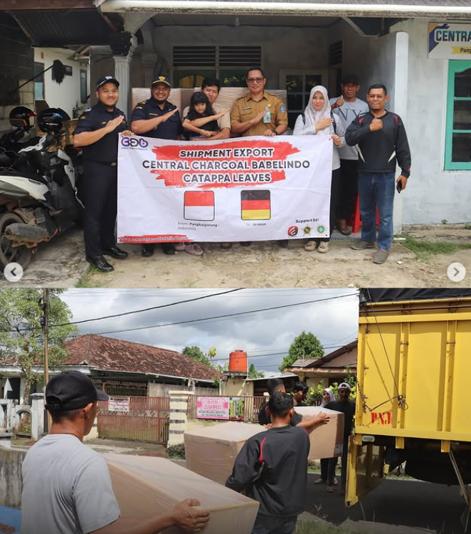 Sinergi Dukung Ekspor Komoditi Daerah, Bea Cukai Pangkalpinang Asistensi Ekspor Daun Ketapang ke Jerman