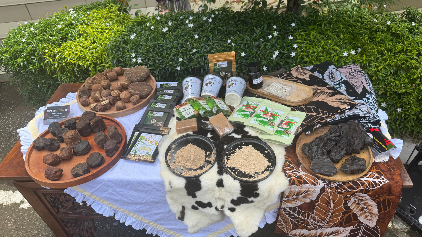 Dukung Komoditas Unggulan Sumatera Barat, Bea Cukai Teluk Bayur Ikut Kawal Ekspor Gambir