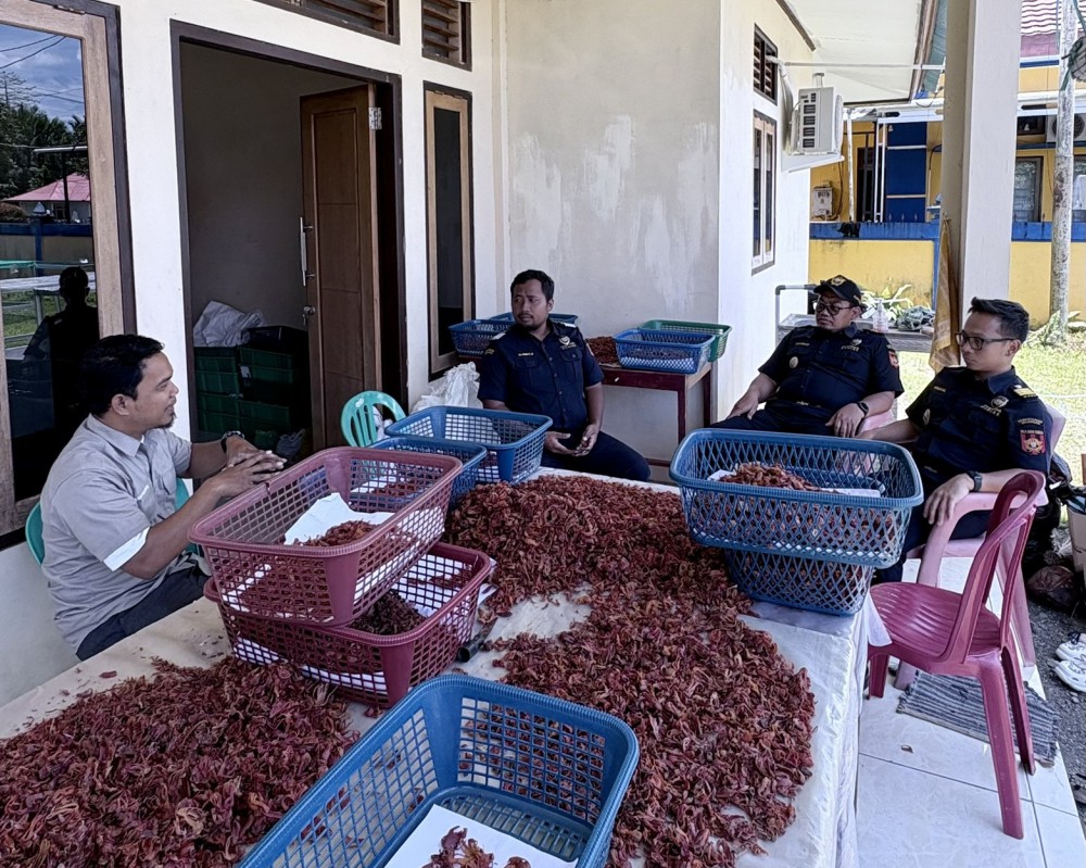 Bea Cukai Ambon Bimbing UMKM Maluku Buka Jalan Ekspor Rempah ke Vietnam