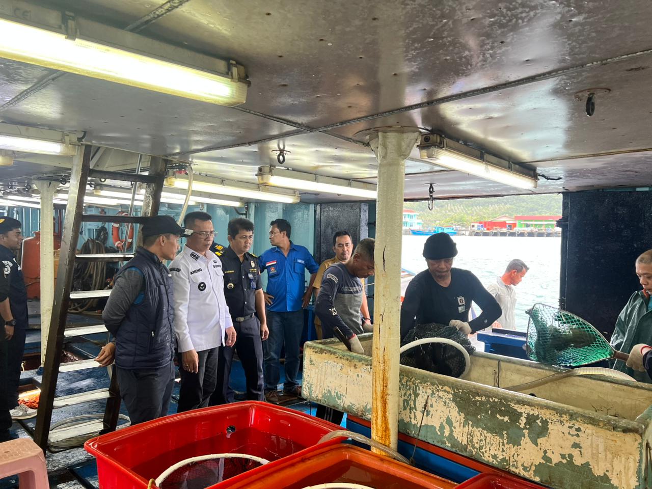 7,2 Ton Ikan Kerapu Berenang ke Hongkong dari Anambas