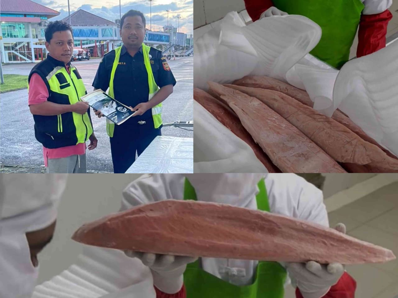 Bea Cukai Ambon Fasilitasi Ekspor Perdana Frozen Tuna Loin Ke Jepang