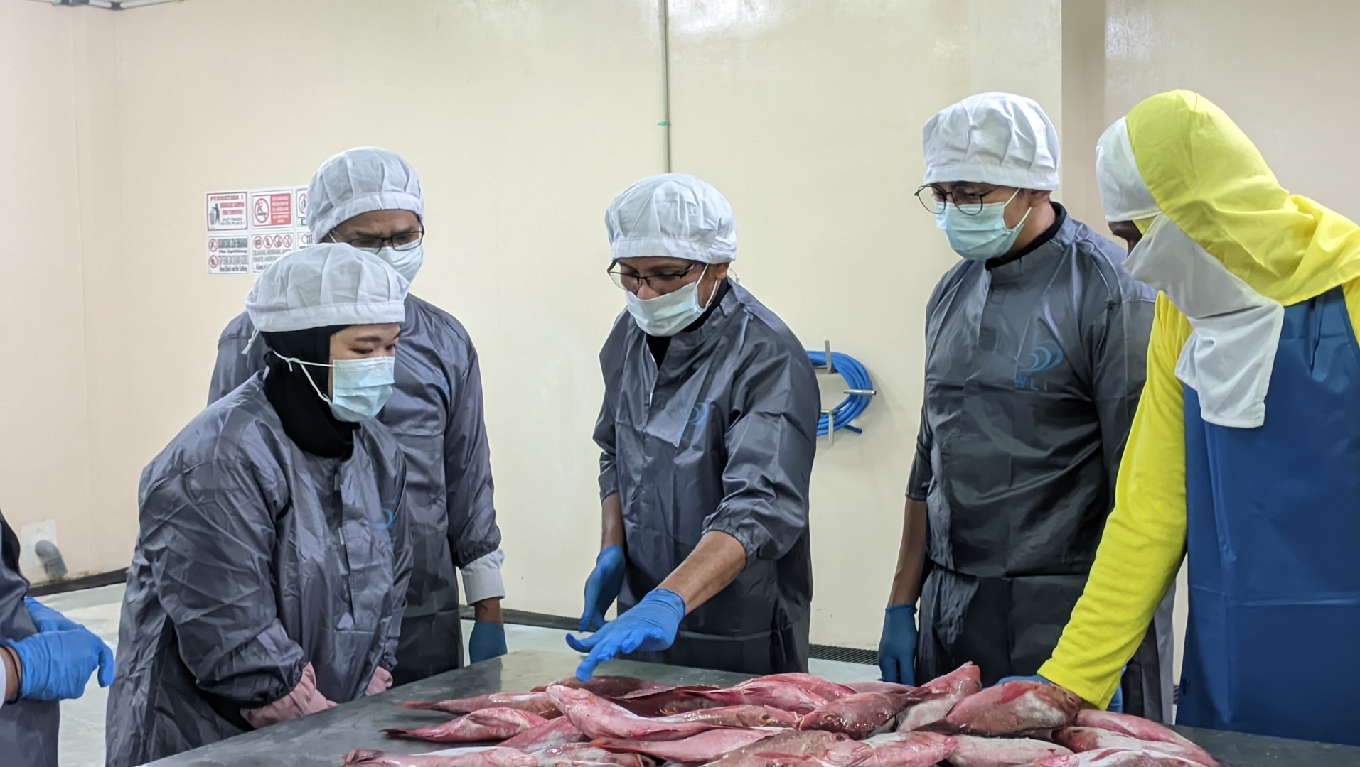 Dorong Ekspor Perikanan, Bea Cukai dan BPPMHKP Ambon Kunjungi PT Avona Mina Lestari