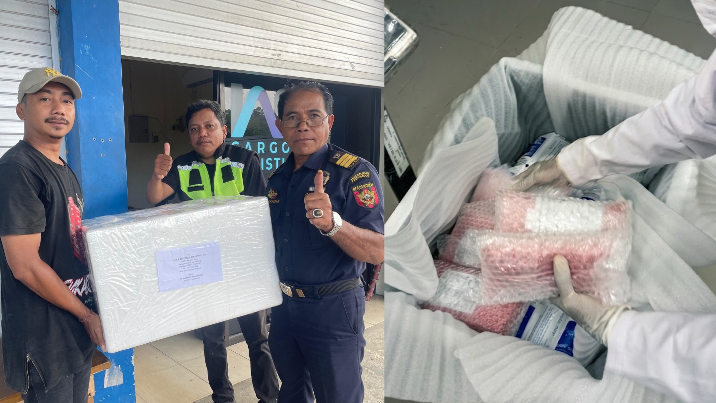 Dari Ambon ke Bangkok, Tuna Yellowfin Maluku Bidik Pasar Asia Tenggara