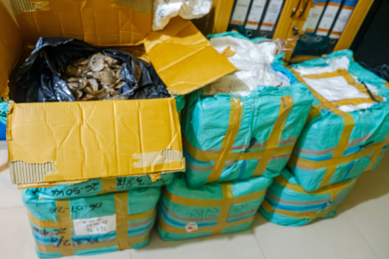 Bea Cukai Tanjungpinang Gagalkan Penyelundupan Sisik Trenggiling