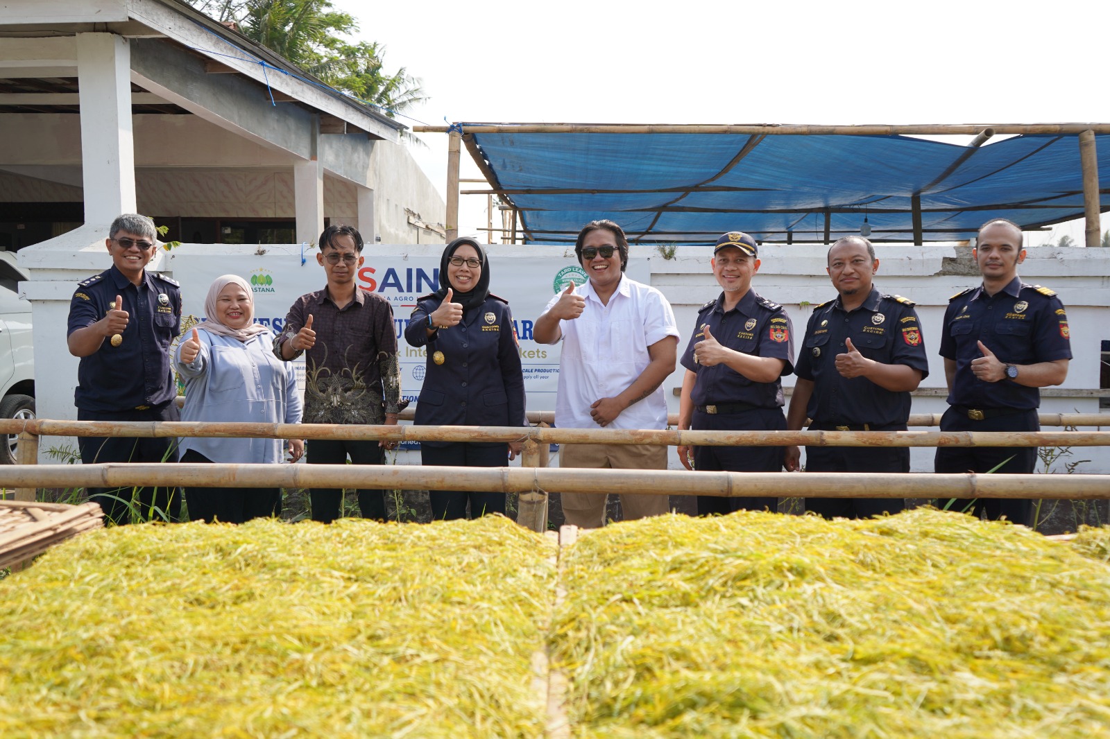 Rajangan Daun Talas Kering, Komoditas Lokal Cilacap Siap Menembus Pasar Internasional