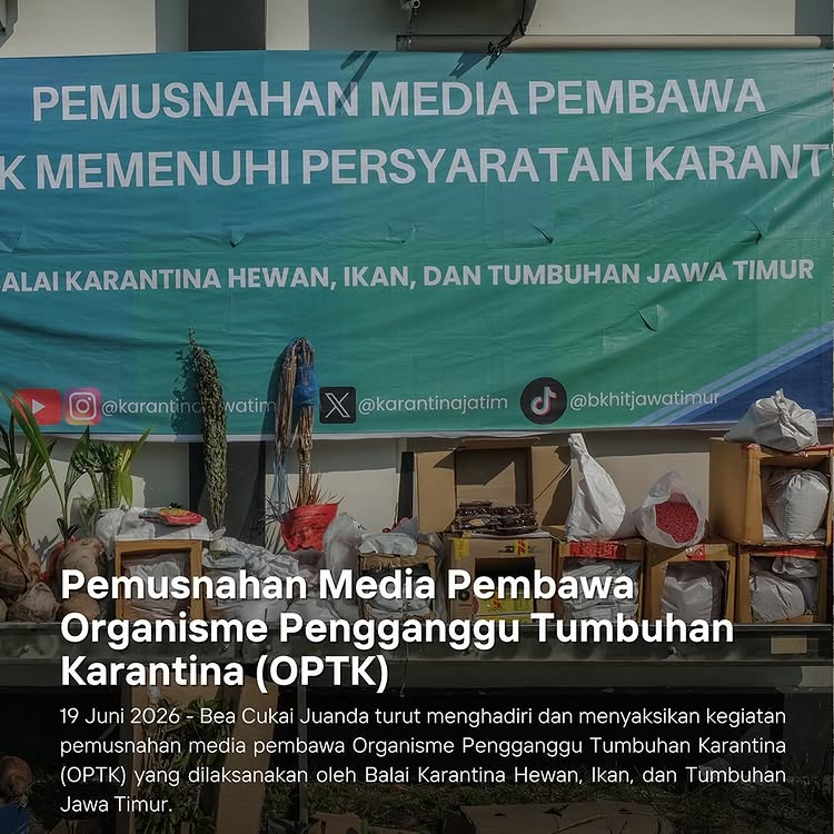 Pemusnahan Media Pembawa Organisme Pengganggu Tumbuhan Karantina (OPTK)