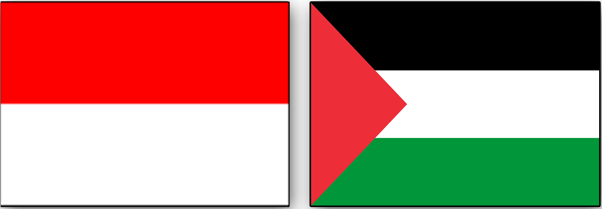 MoU-IndoPalestine