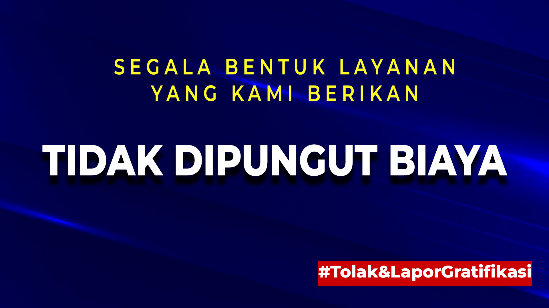 label/6551ff7c46312958413c05a2